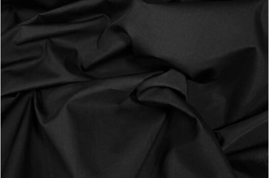 Тиси сорочечная, черная