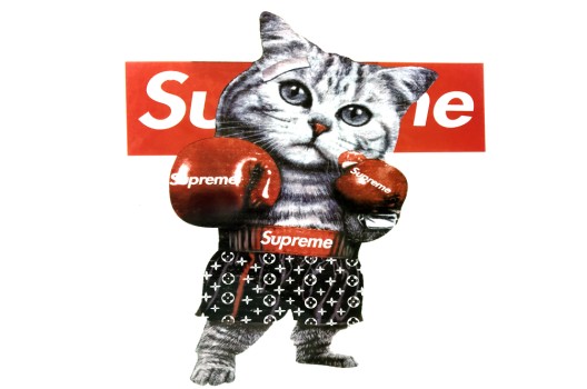 Термонаклейка Supreme Cat, 19.5х22 см