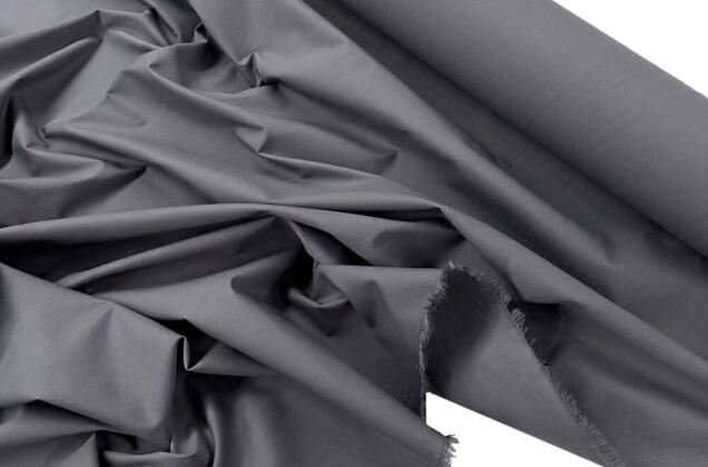 Тиси сорочечная, темно-серая 1