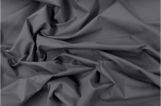 Тиси сорочечная, темно-серая