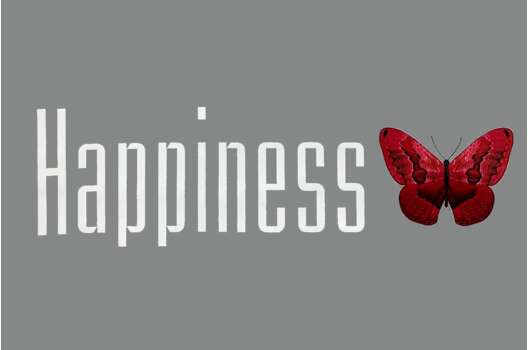 Термонаклейка, Happiness, белый, 30х8 см