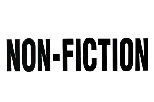 Термонаклейка, NON-FICTION, 24.9х5.7 см