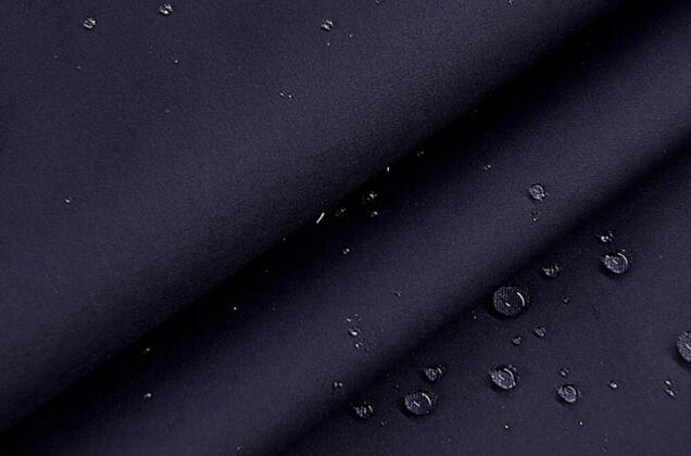 Плащевая Дюспо Royal, цвет темно-синий (34663) 2