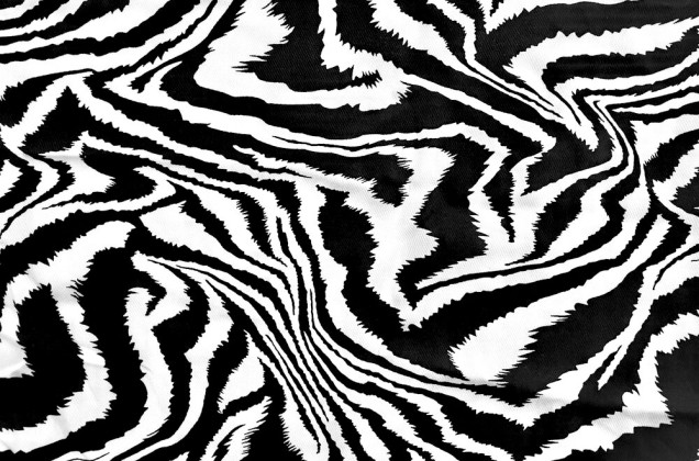 Штапель твил, Бенгальский тигр черно-белый 1