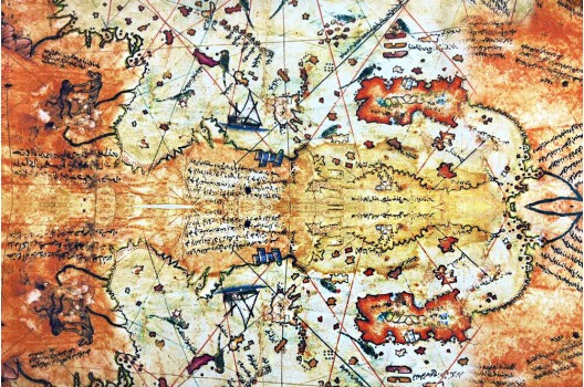 Интерьерная ткань, Карта сокровищ, Турция