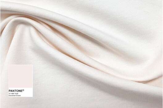 Футер 2-х нитка петля (френч терри) Atak, кокосовый крем Coconut Cream (11-1007)