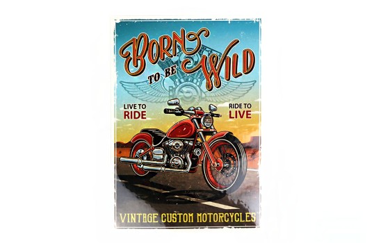 Термонаклейка, Мотоцикл, Born to be Wild, 17.8х25 см