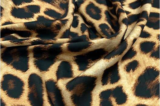 Армани Шелк, Бенгальская кошка светло-бежевая