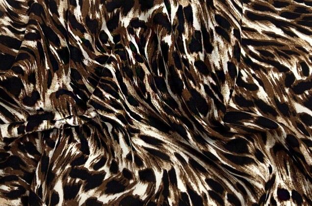 Штапель, Хищный в крупные пятнышки черно-коричневый, Турция
