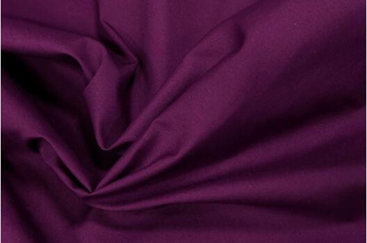 Тиси сорочечная (PD, WR), слива