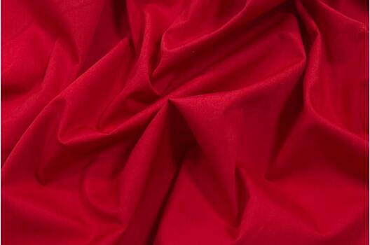 Тиси сорочечная, огненно-красная