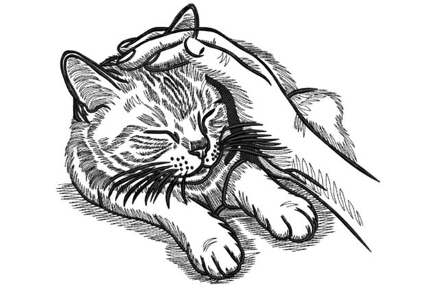 Машинная вышивка, Гладим котика