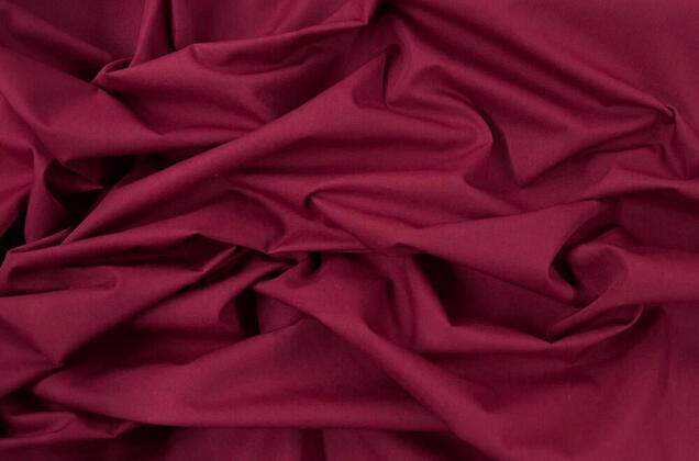 Тиси сорочечная, винная 1