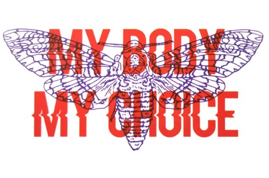 Термонаклейка My body my choice 11х6 см
