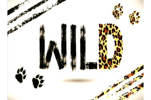 Термонаклейка Wild, 9х12 см