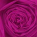 еврофатин лиловая роза