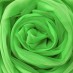 Еврофатин Buse-Hayal цвет: зеленый