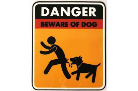 Термонаклейка Danger 10х8.5 см