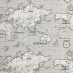Дак (DUCK) Карта мира на сером фон