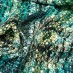 Вискоза Pinar, рисунок кожа змеи на зелёном 26064-B0001
